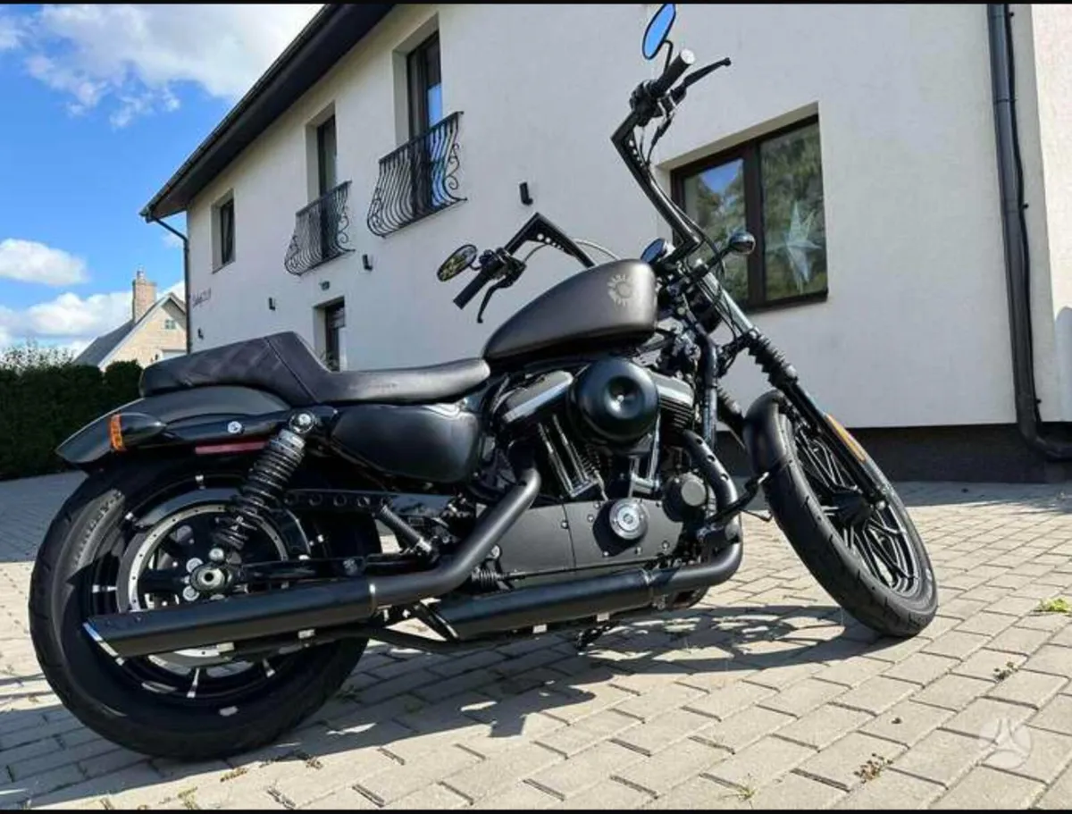 Harley Davidson sportster XL 883 🖤 - Image 3