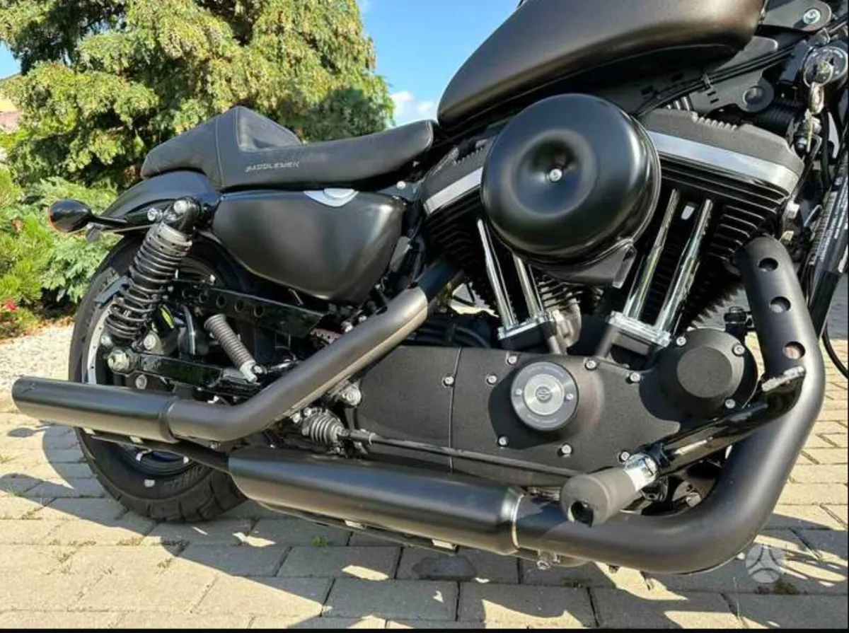 Harley Davidson sportster XL 883 🖤 - Image 4