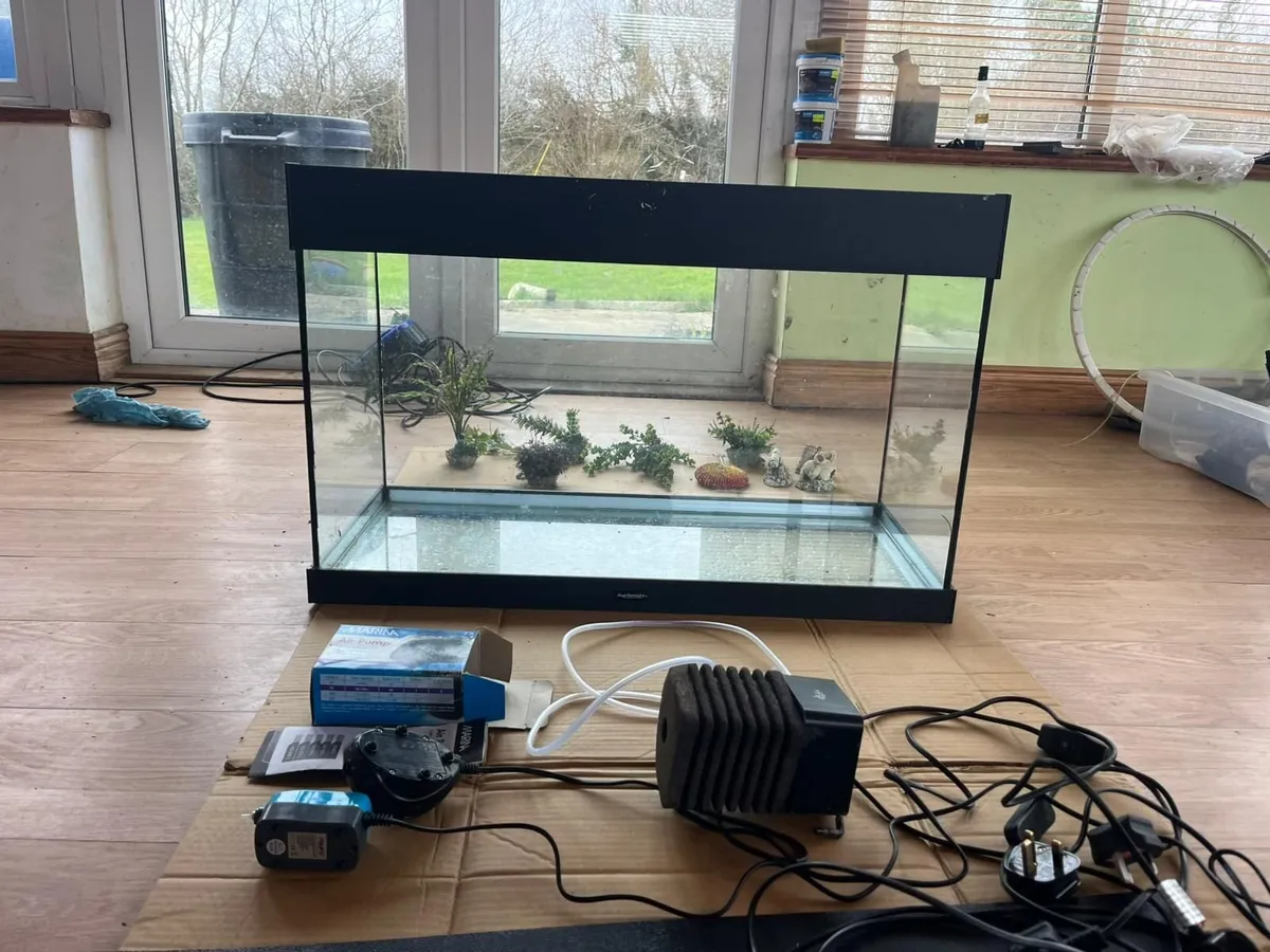 Fish Tank + accessories - Image 2