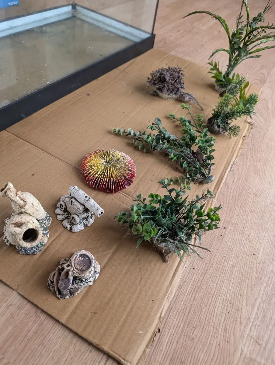 Fish Tank + accessories - Image 3