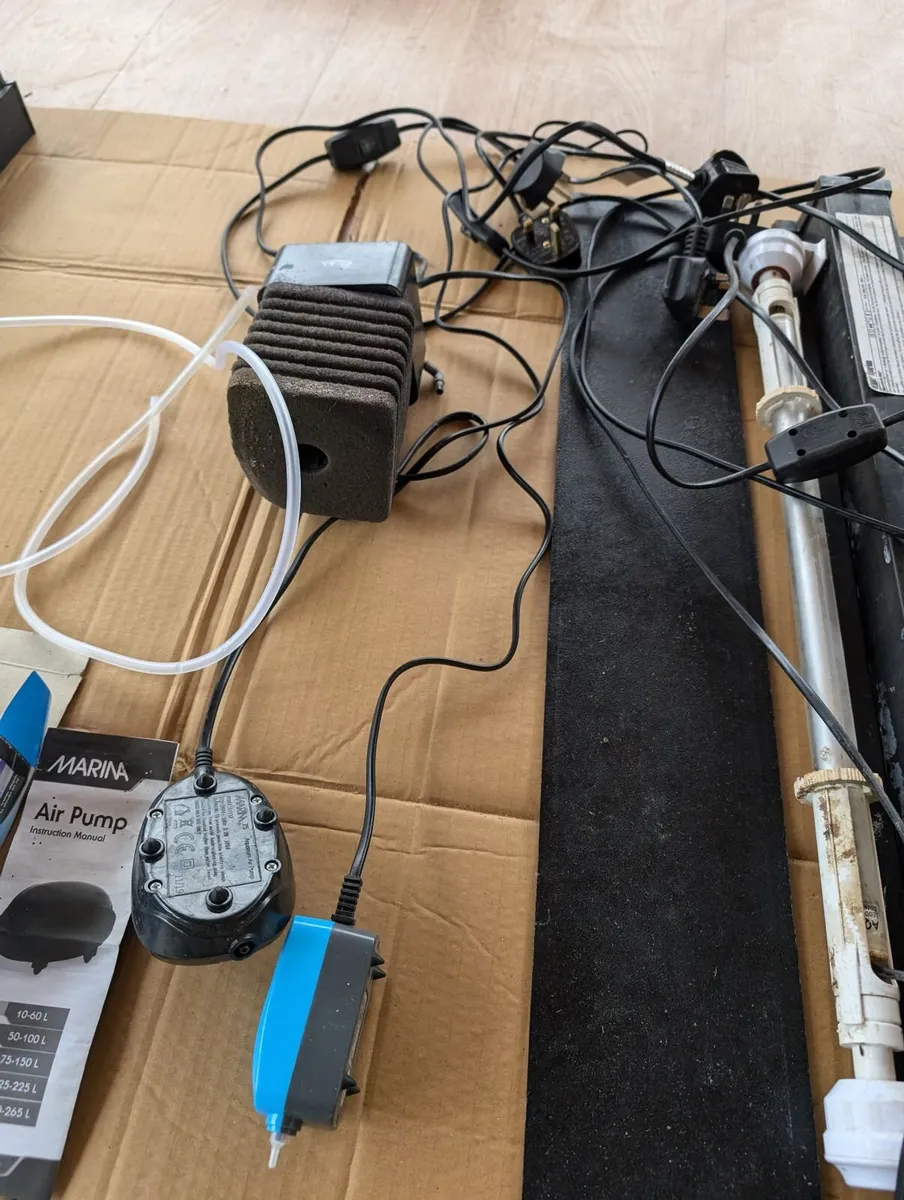 Fish Tank + accessories - Image 4