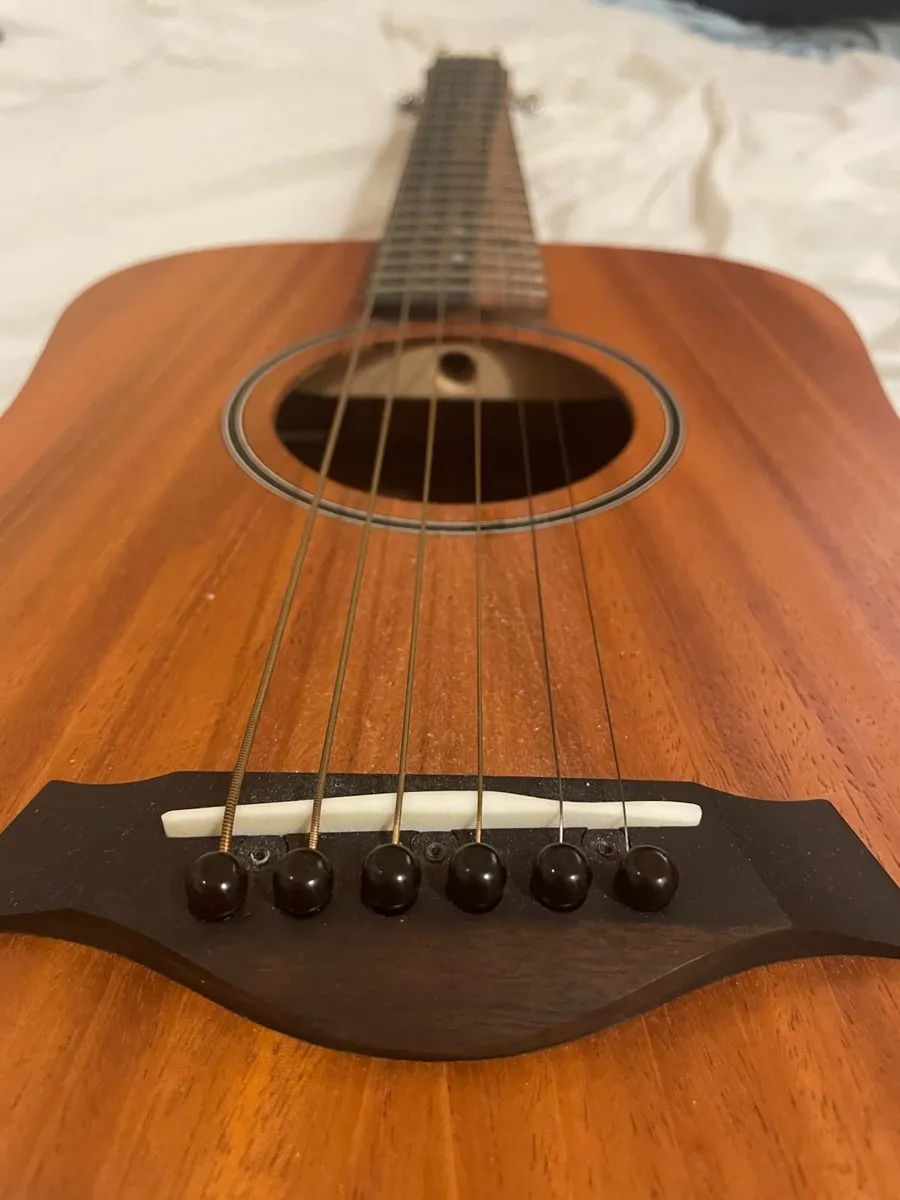 Acoustic/Electric Baby TAYLOR BT2e+ CASE, MINT - Image 1