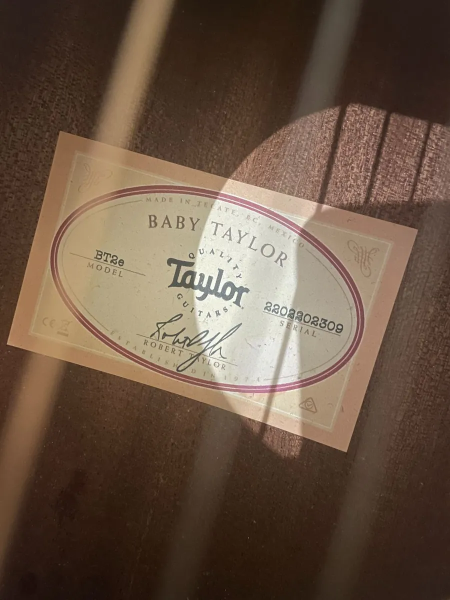 Acoustic/Electric Baby TAYLOR BT2e+ CASE, MINT - Image 4