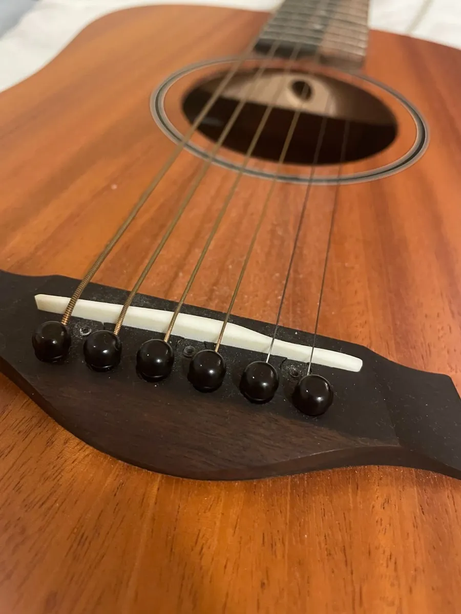 Acoustic/Electric Baby TAYLOR BT2e+ CASE, MINT - Image 2