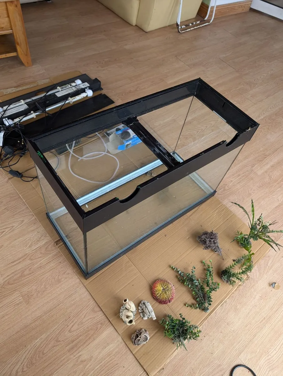 Fish Tank + accessories - Image 1