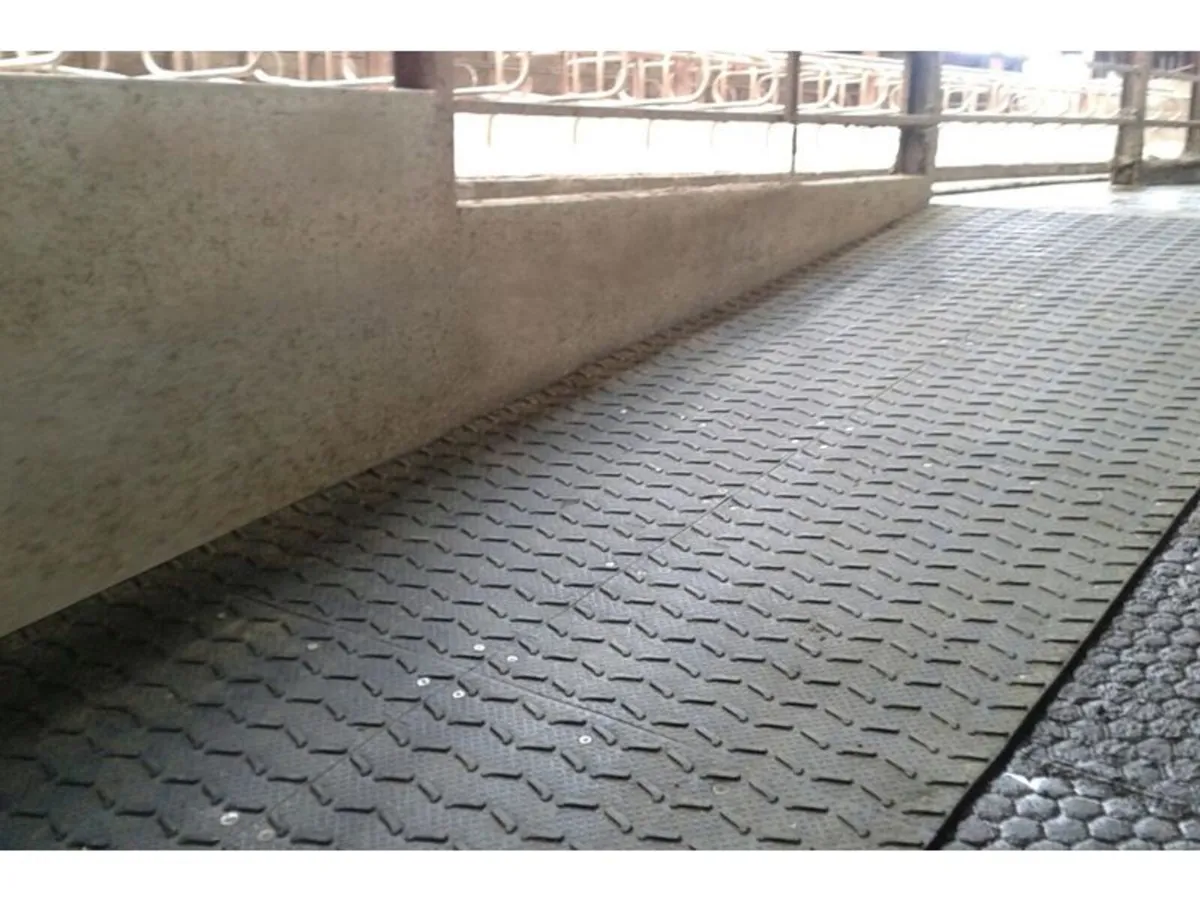 Parlour / Walk Way Rubber Cow Matting - Image 2