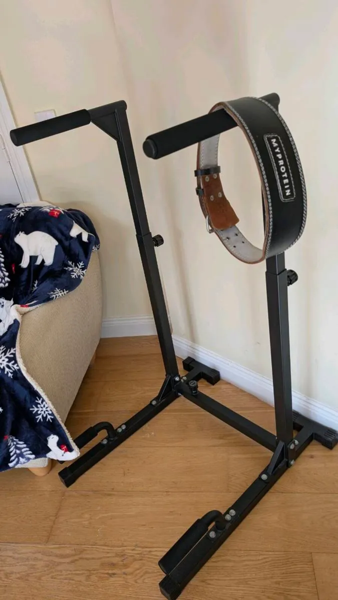 DIP STATION + LIFTING BELT