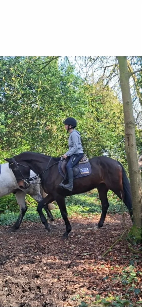 4 year old - Image 2