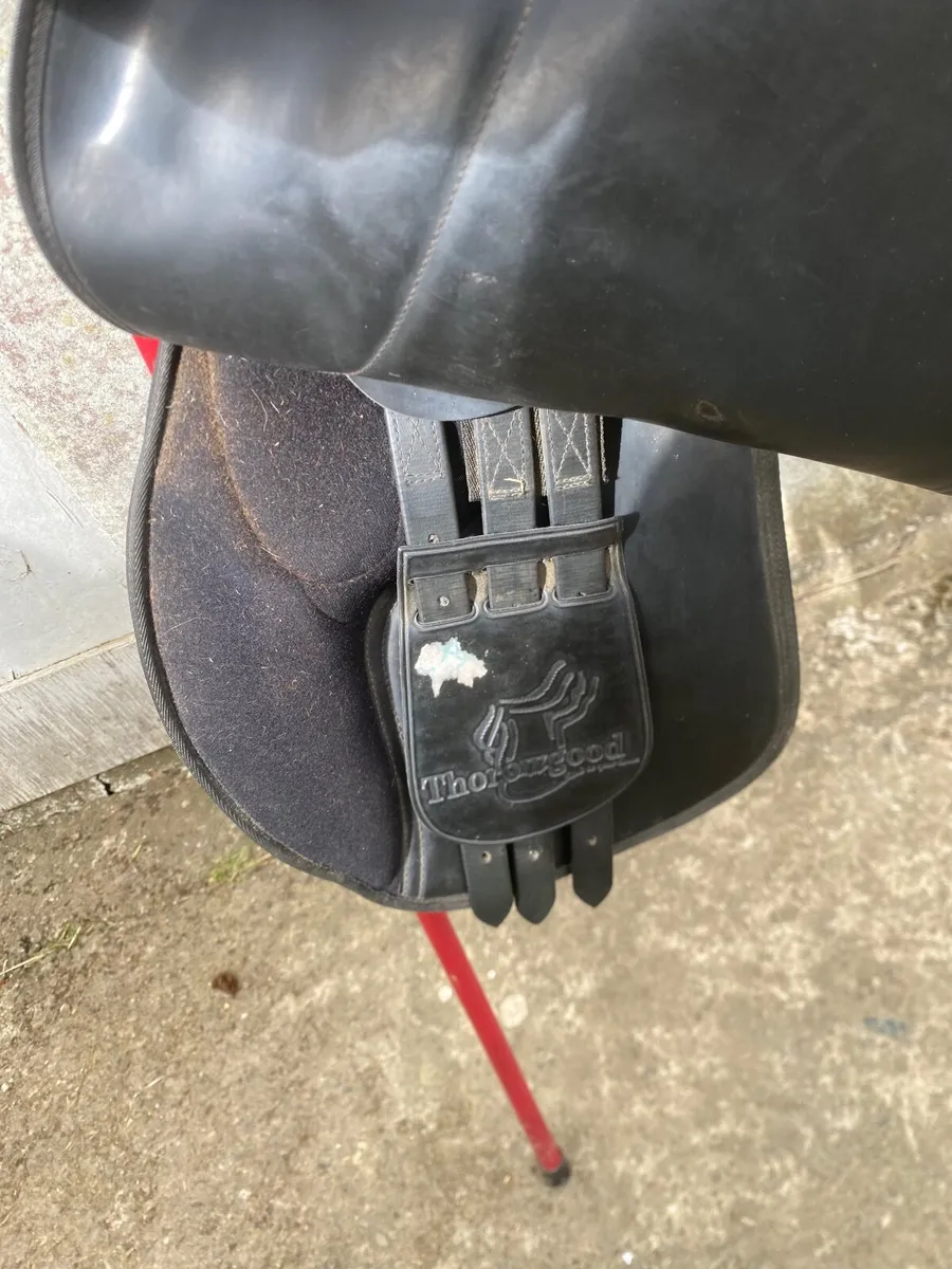 Thorowgood saddle post included 17” - Image 3