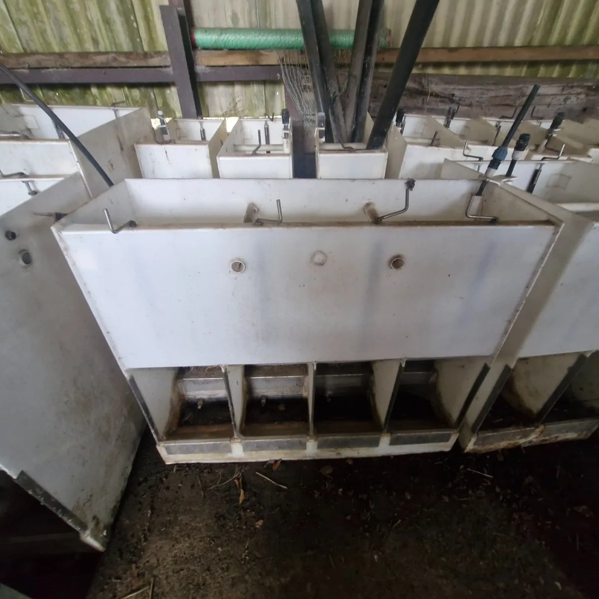 Pig feeders and 13 tonne  meal bin - Image 2