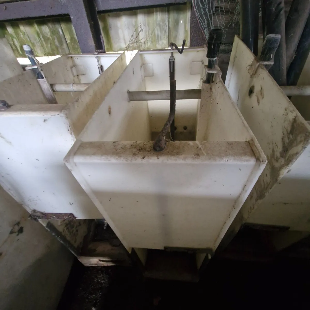 Pig feeders and 13 tonne  meal bin - Image 3