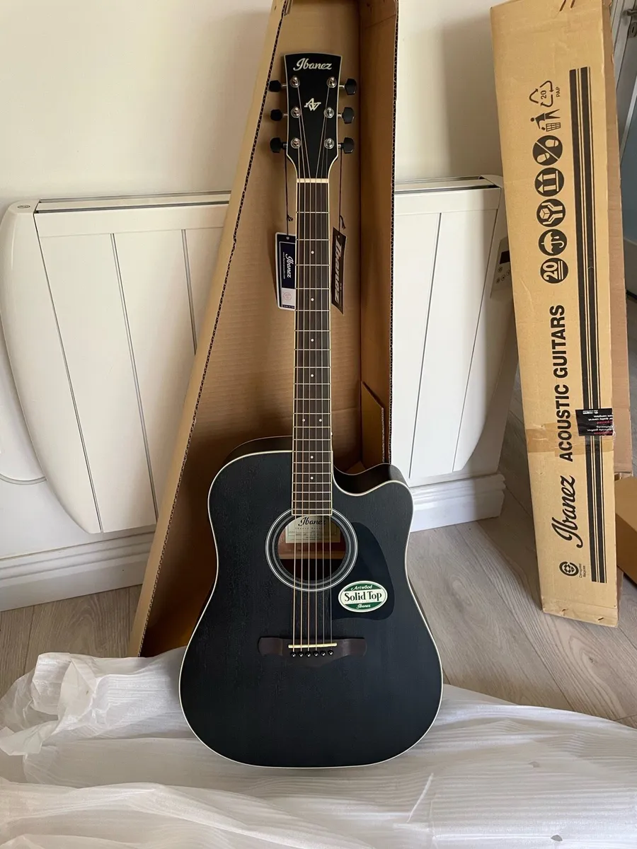 Ibanez Electric Acoustic Guitar - Image 1