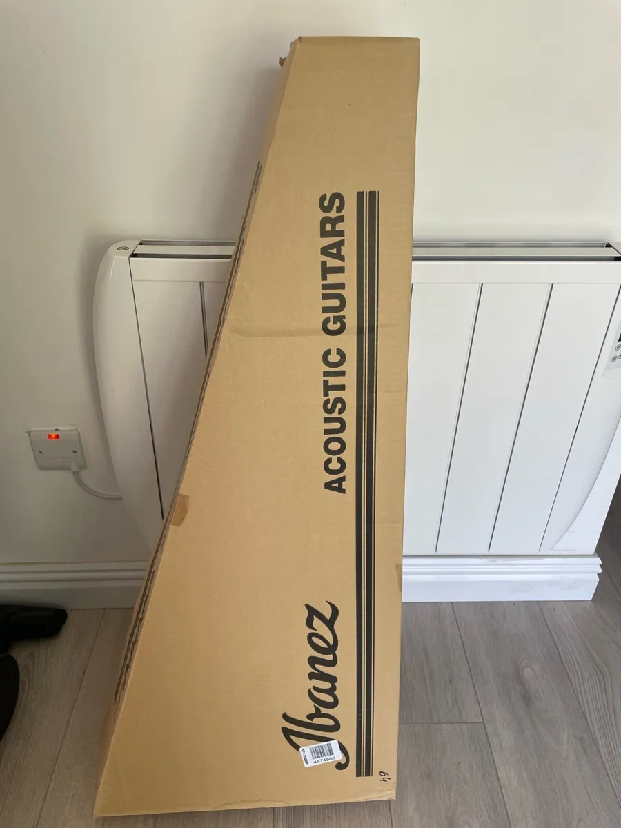 Ibanez Electric Acoustic Guitar - Image 2