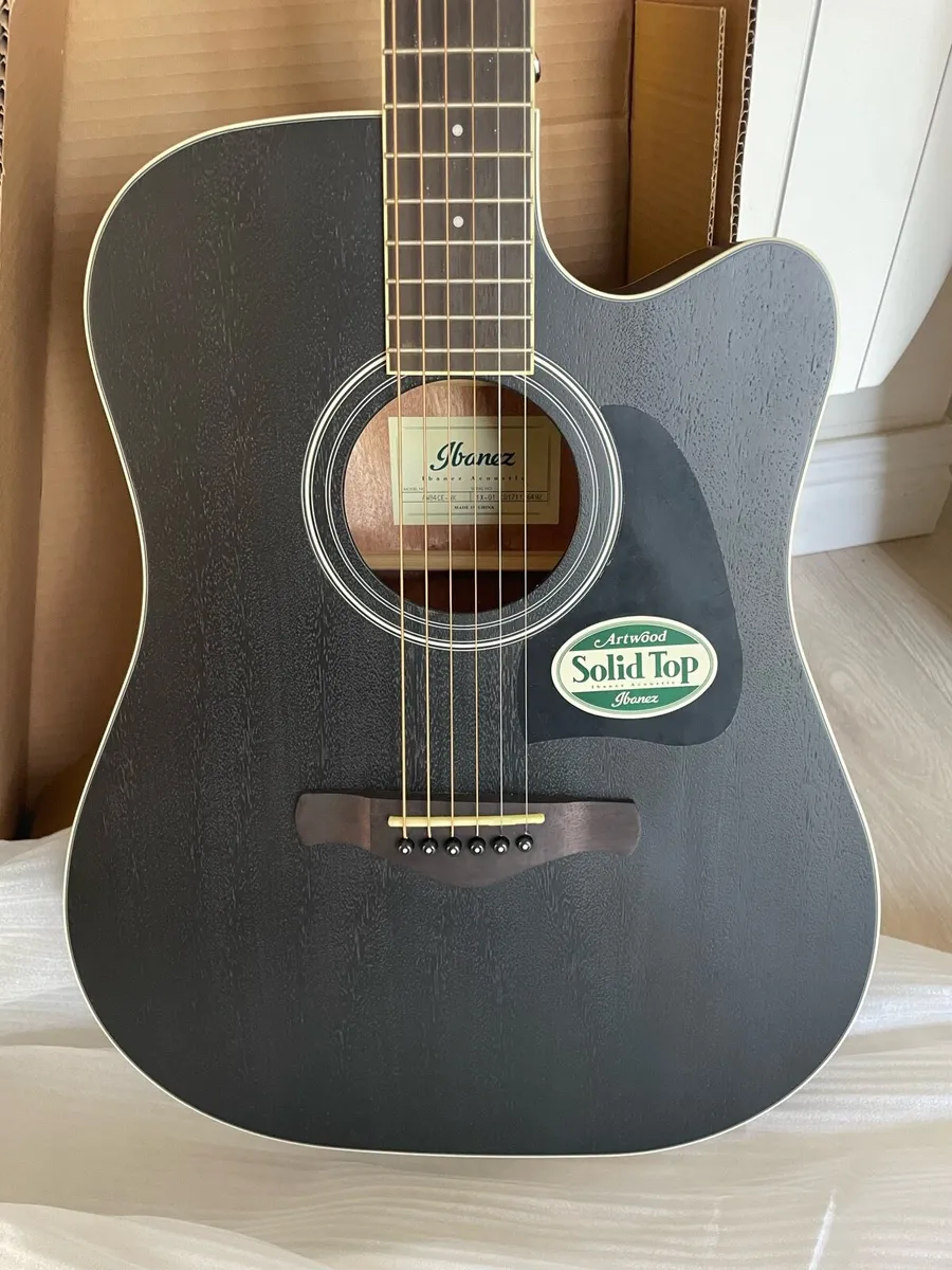 Ibanez Electric Acoustic Guitar - Image 3