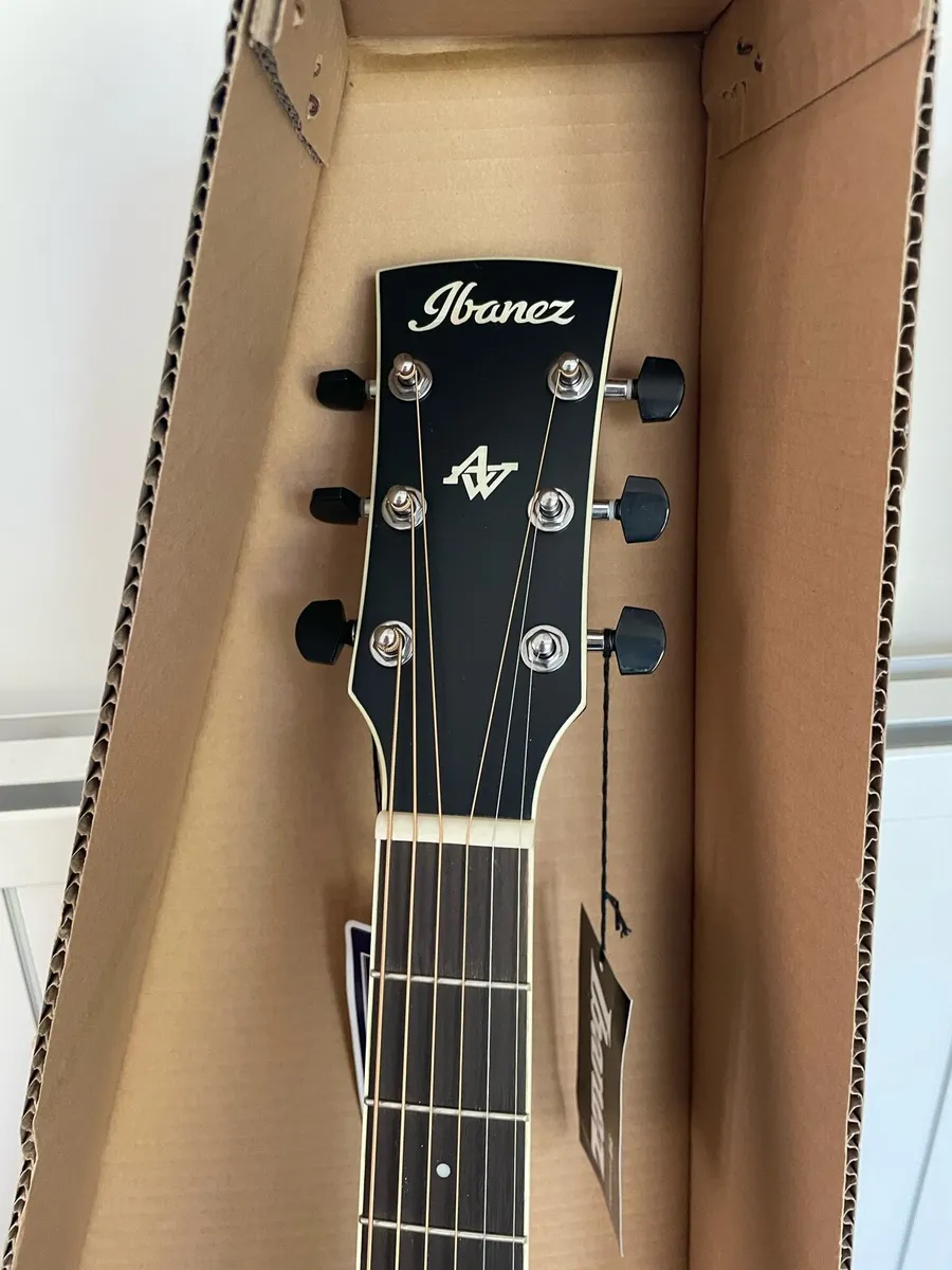 Ibanez Electric Acoustic Guitar - Image 4