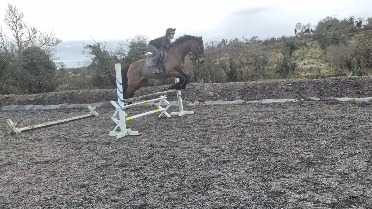 Superb all-rounder - Image 4