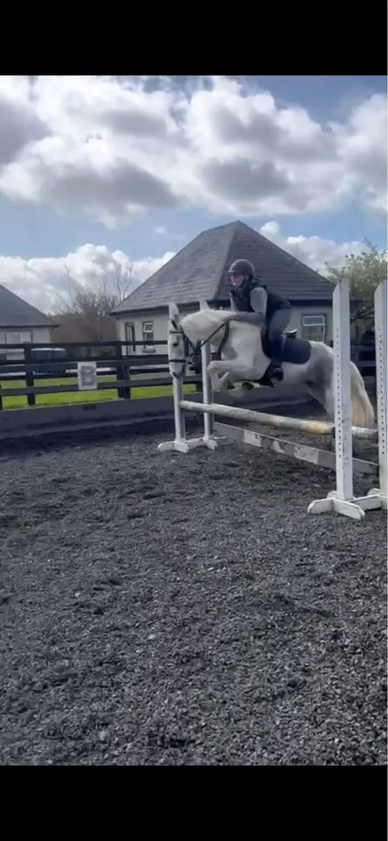 💥 Smashing 138 pony 💥 - Image 4