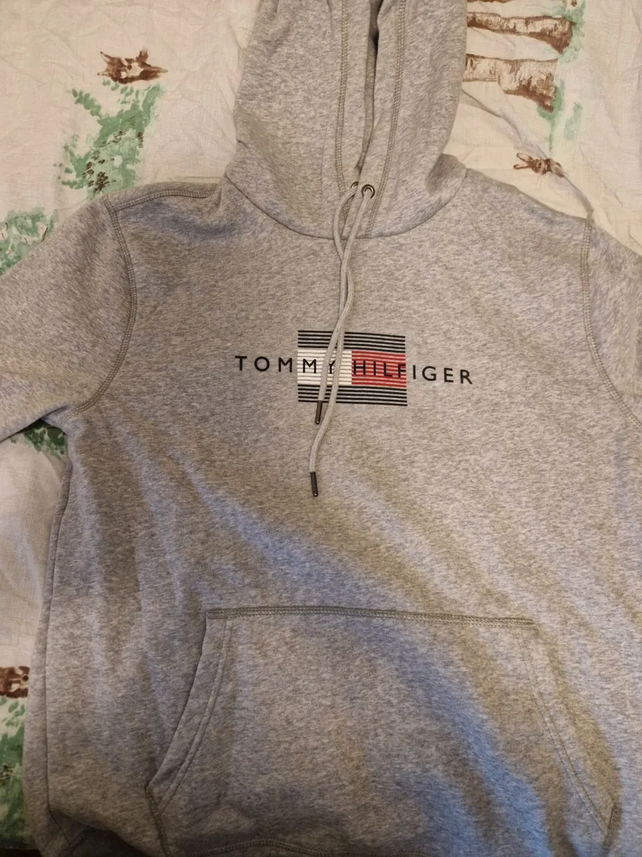 Hoodie Tommy Hilfiger Men - Image 1