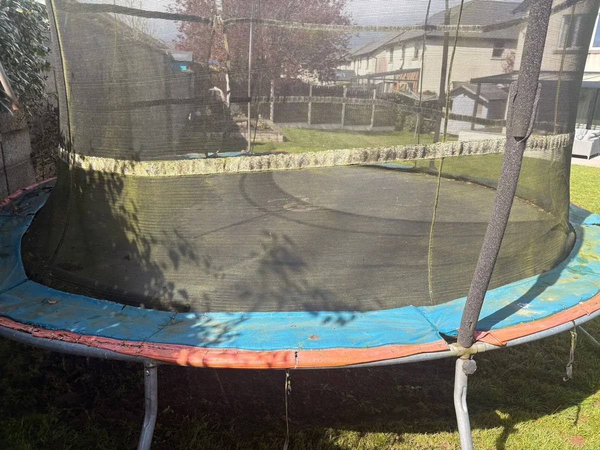 FREE 12 Ft Trampoline - Image 2