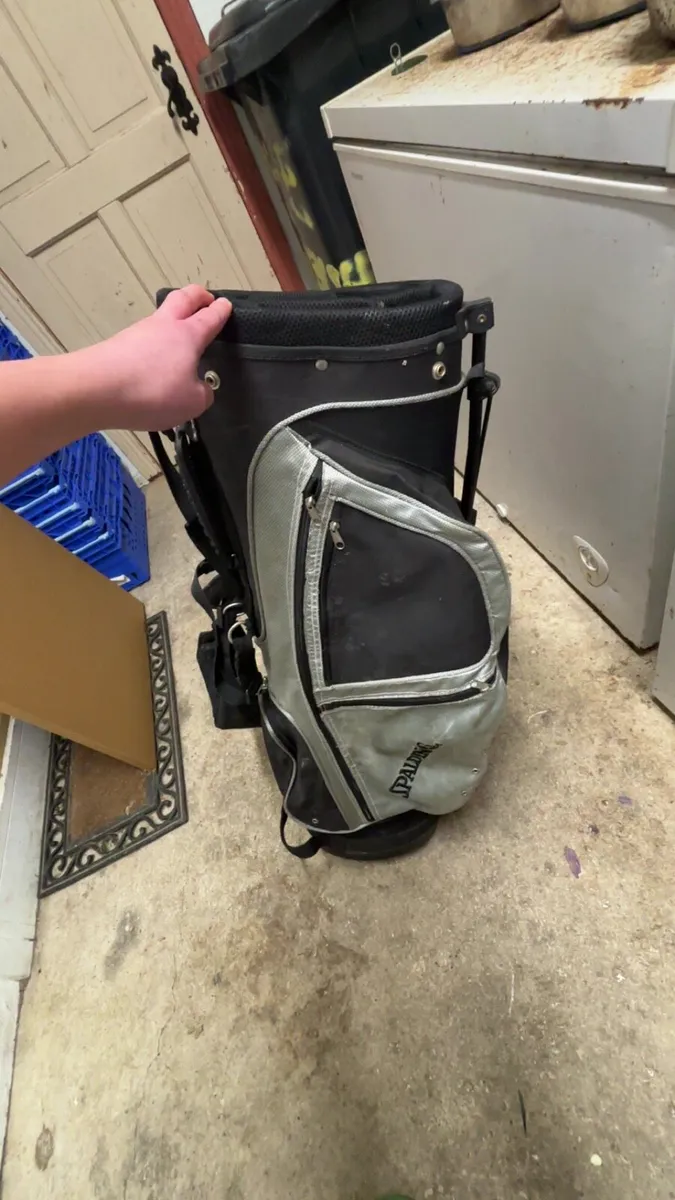 Spalding stand bag - Image 1