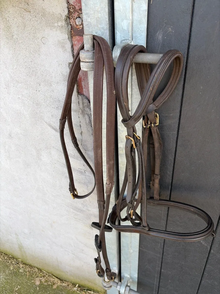 Bridle & Reins - Image 1