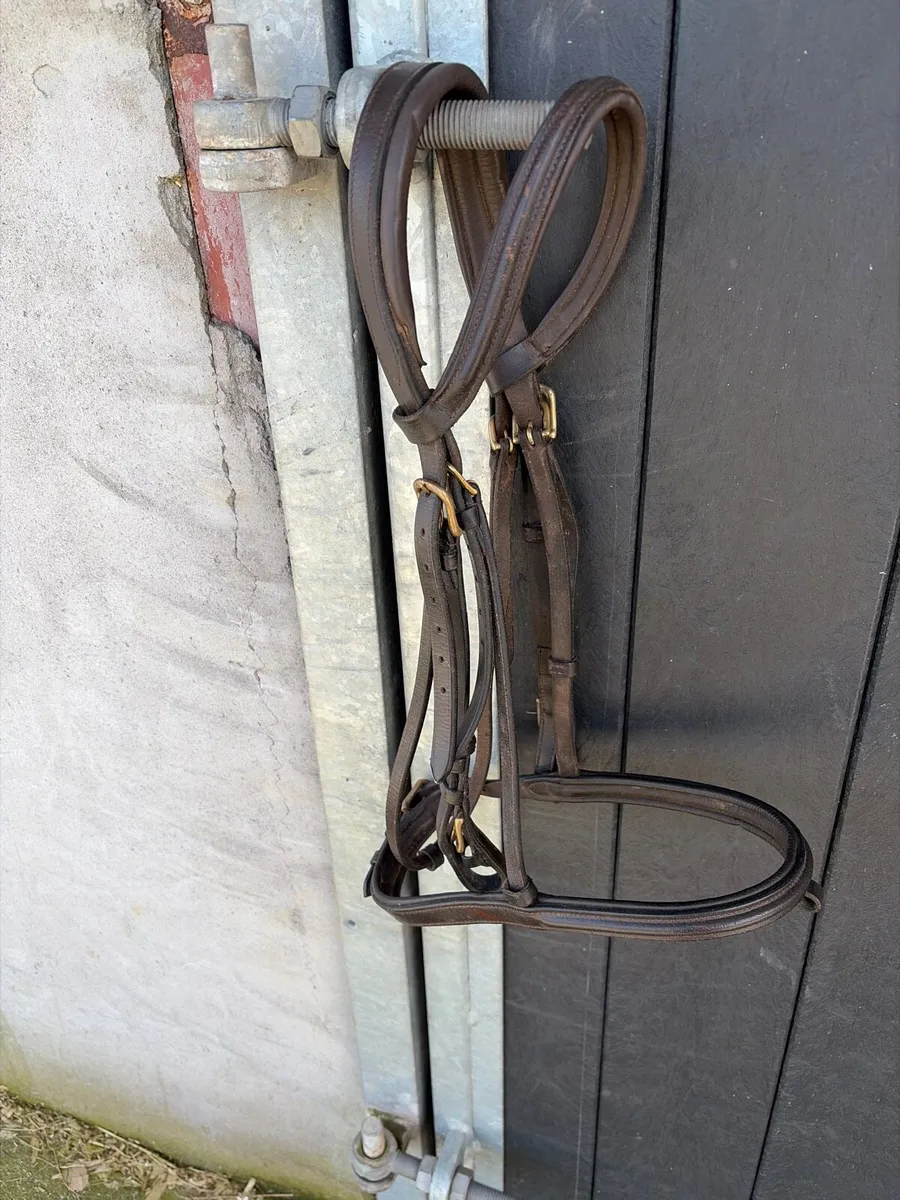 Bridle & Reins - Image 2