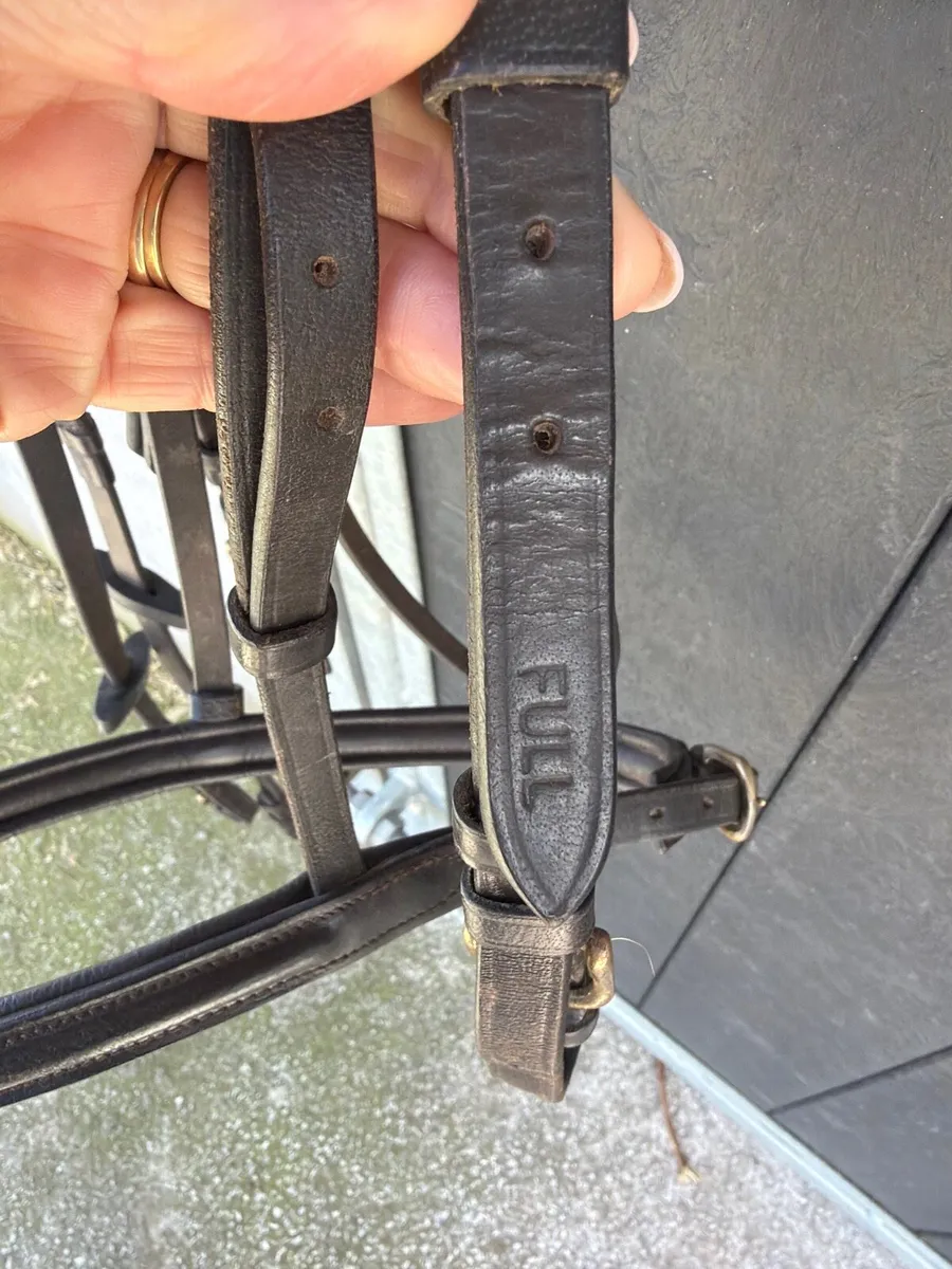 Bridle & Reins - Image 3