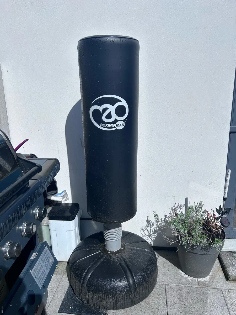 Boxing bag - Image 1