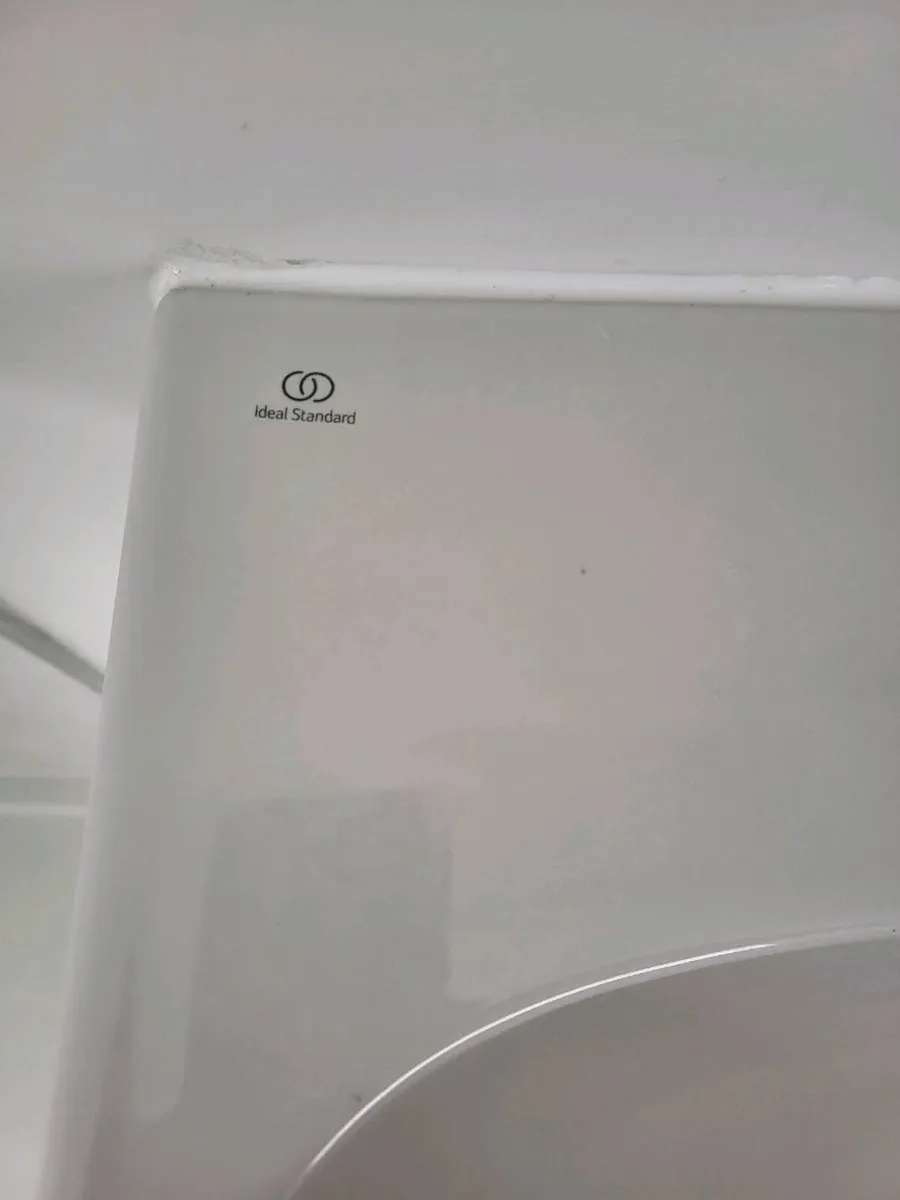 Wash Basin - Image 1