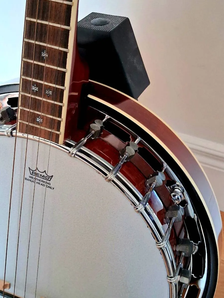 Tenor Banjo - Image 4