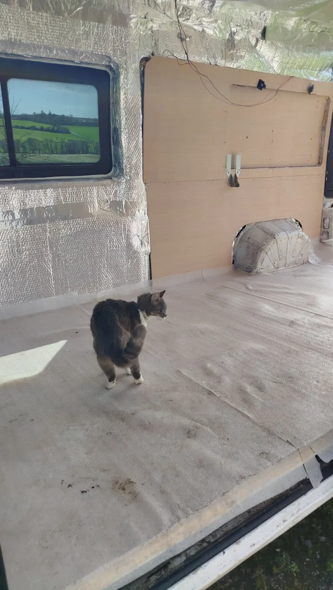 Camper Van Project Ducato Campervan Unfinished - Image 4