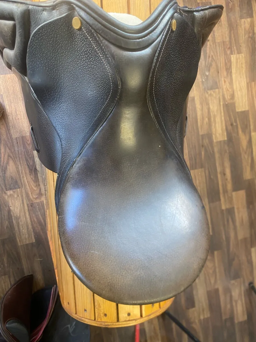 Pagony 16” Diamant pony saddle - Image 4