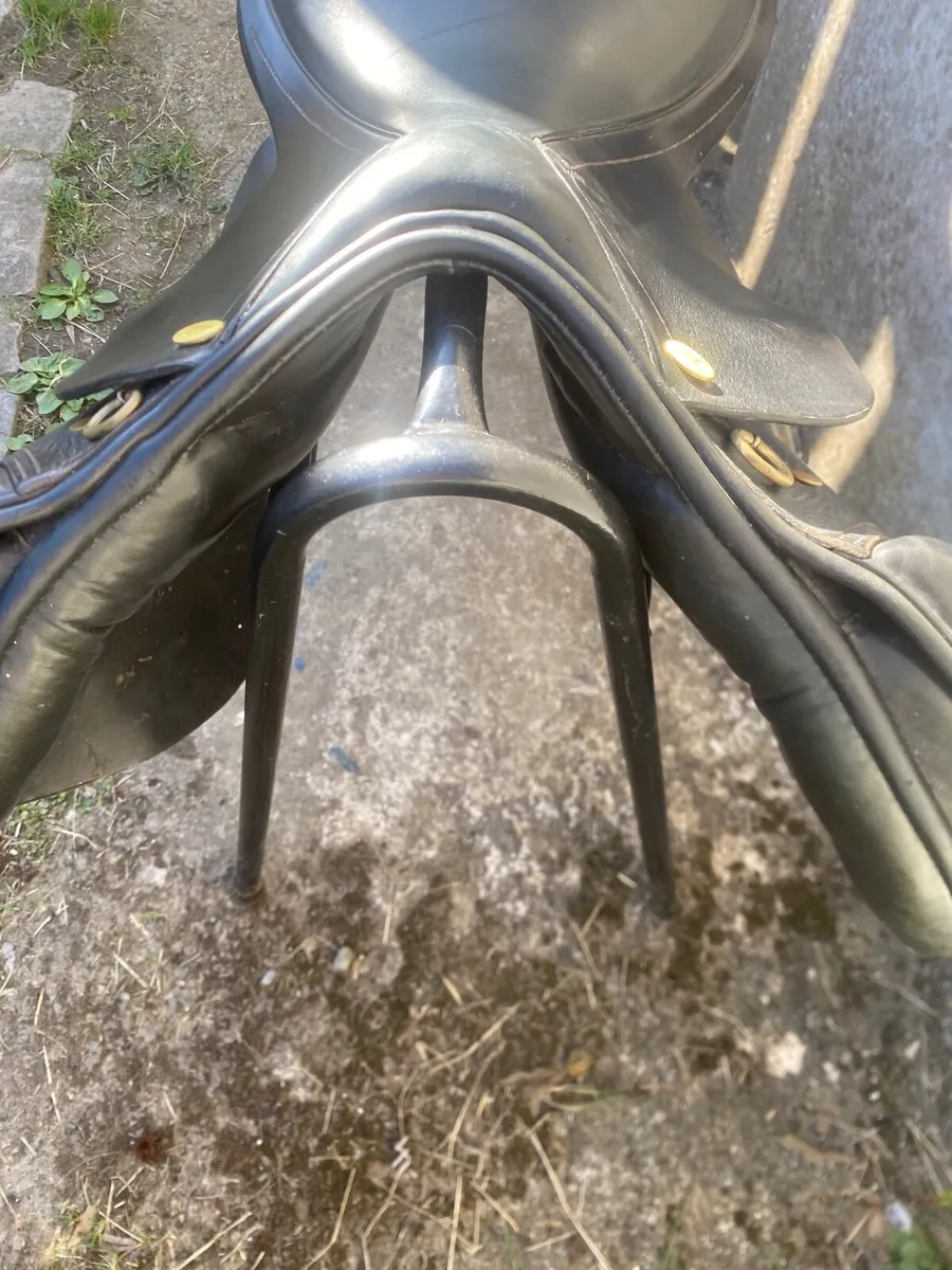 Ambassador event saddle ex wide - Image 3