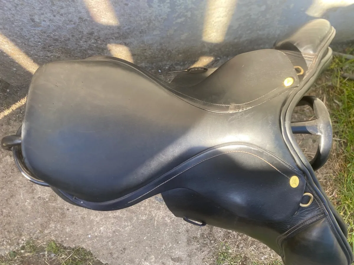Ambassador event saddle ex wide - Image 4