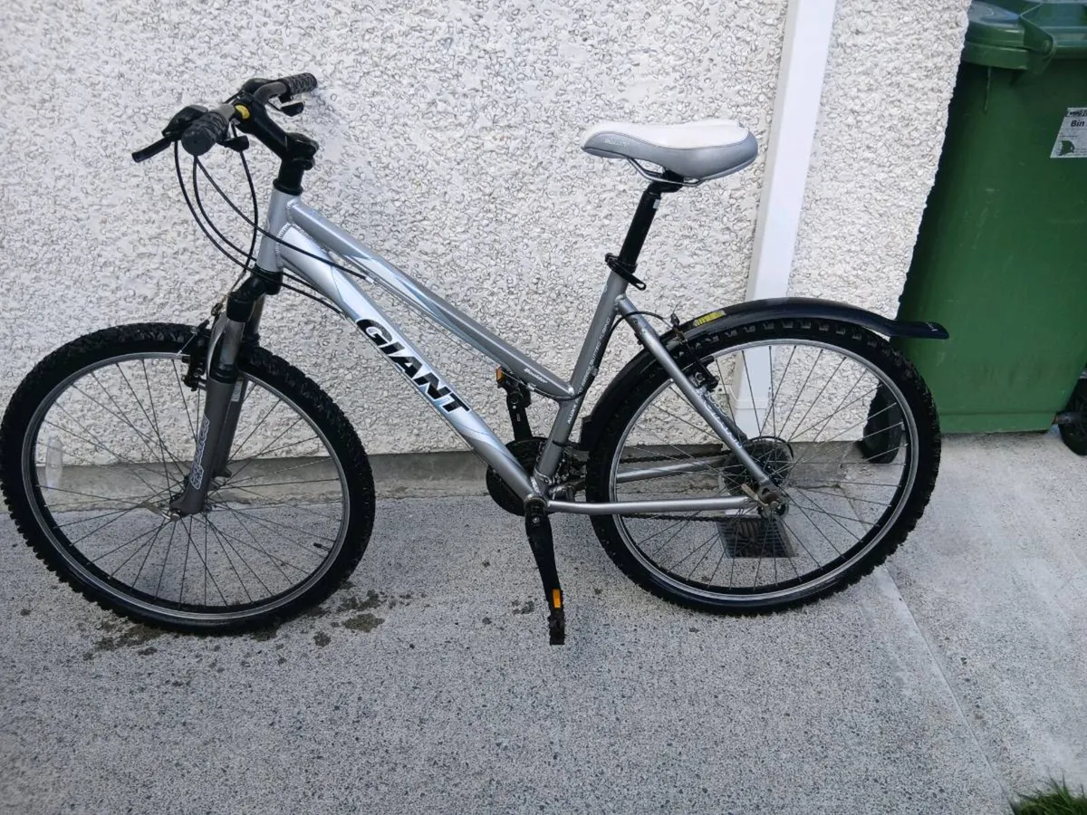 ADULTS LADYS BIKE - Image 1