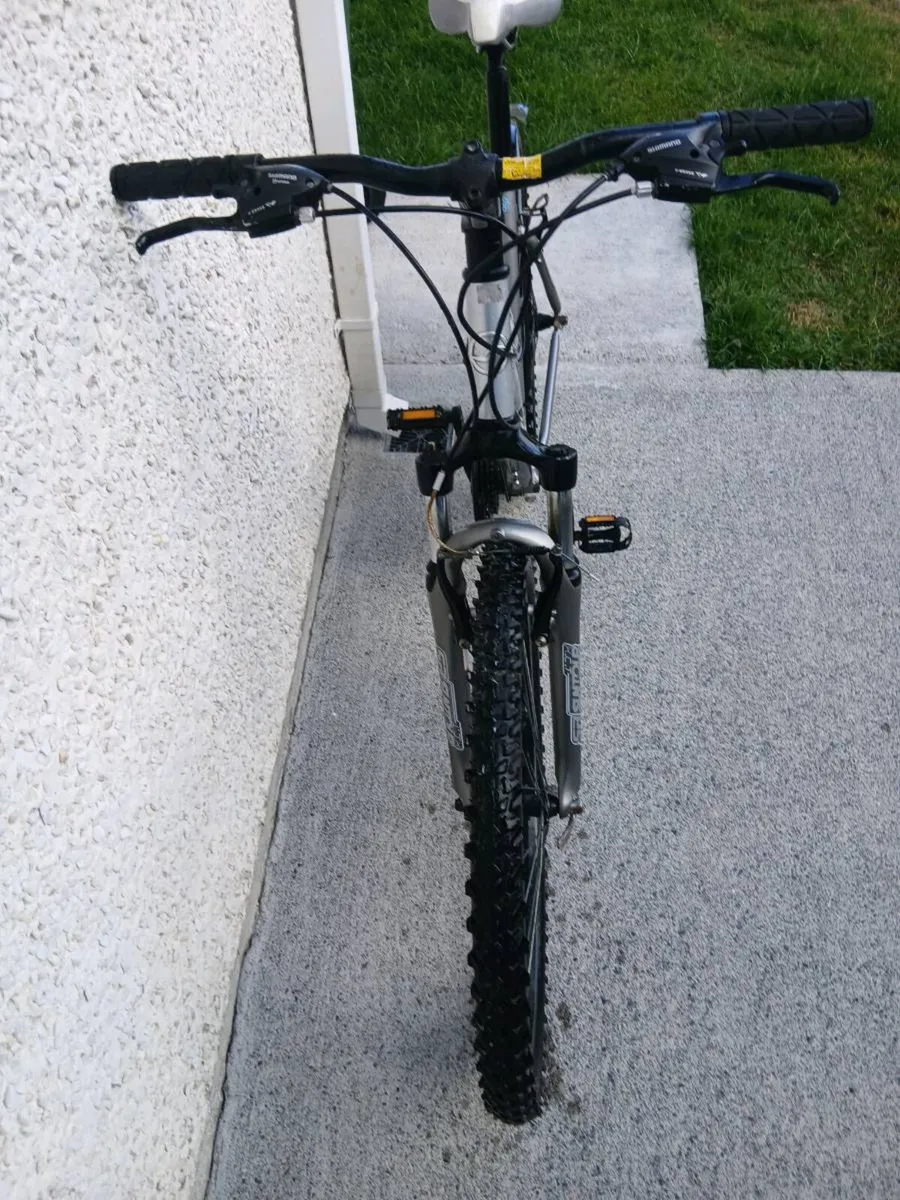 ADULTS LADYS BIKE - Image 2