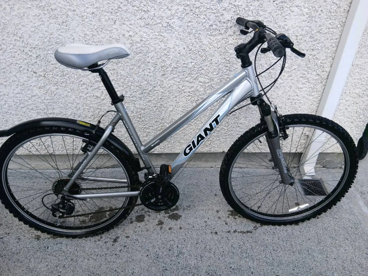 ADULTS LADYS BIKE - Image 3