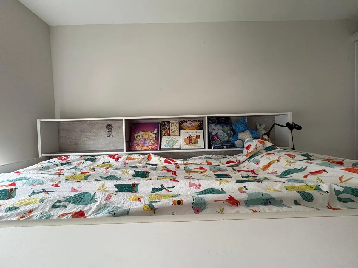 Leo Bunk Bed with shelving - Image 4