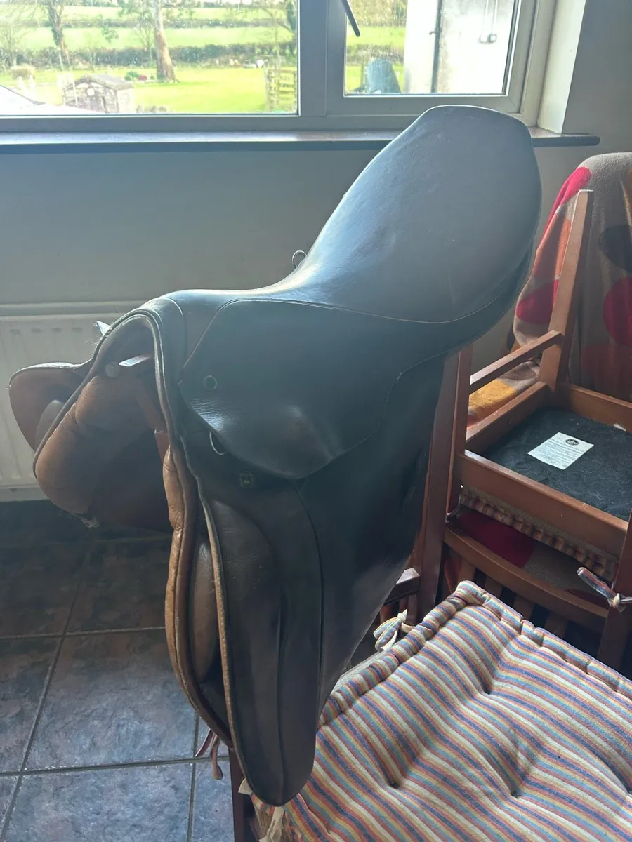 17.5 inch Steuben Jump Saddle - Image 2