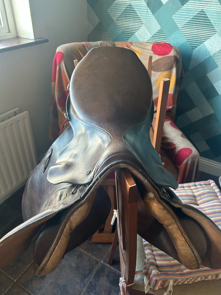 17.5 inch Steuben Jump Saddle - Image 3