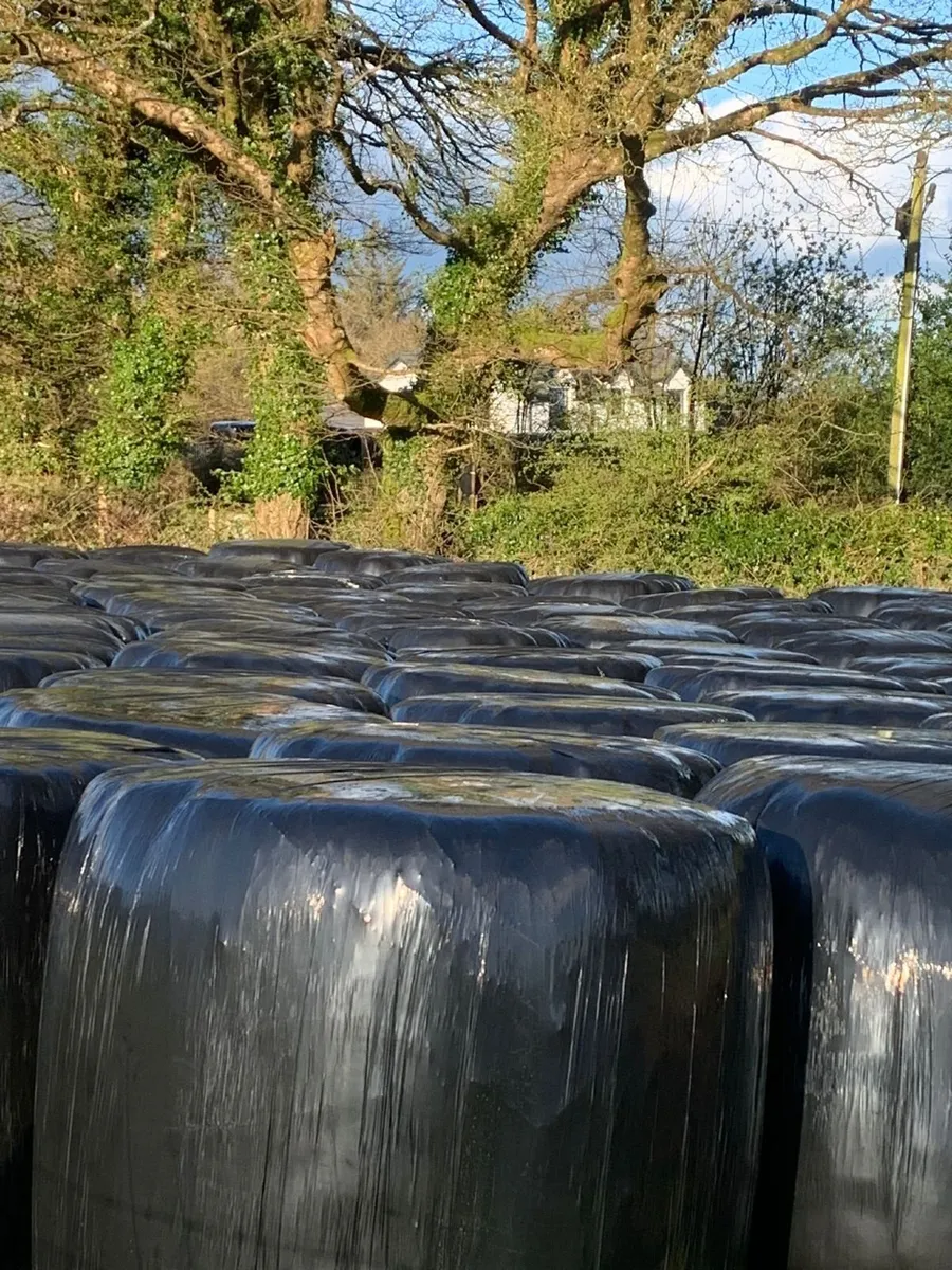 Organic haylage for sale - Image 1