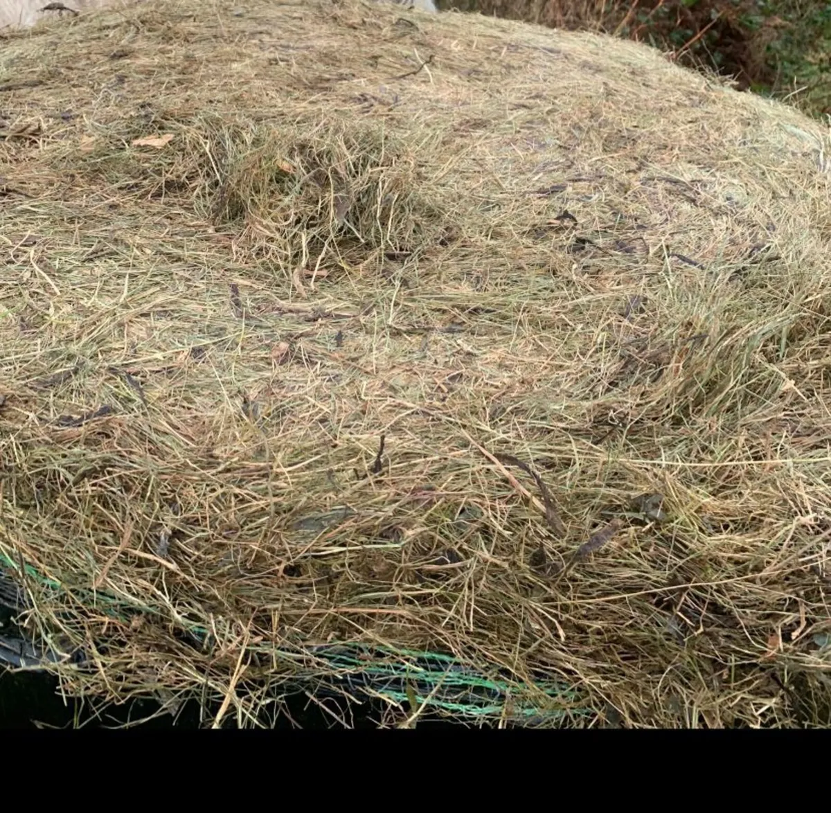 Organic haylage for sale - Image 2