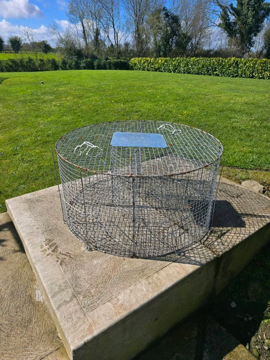 Larcen trap bird trap - Image 1