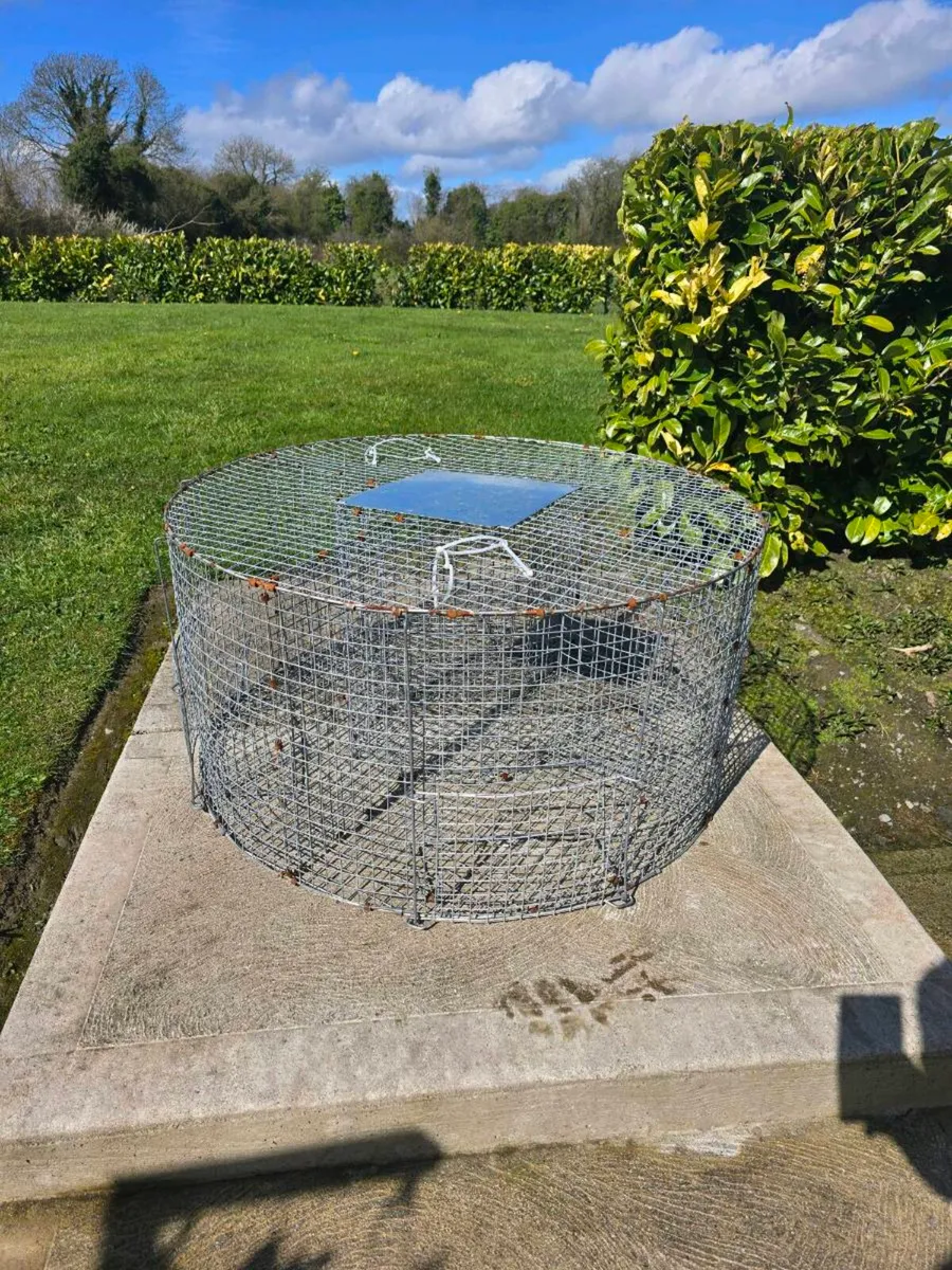 Larcen trap bird trap - Image 2