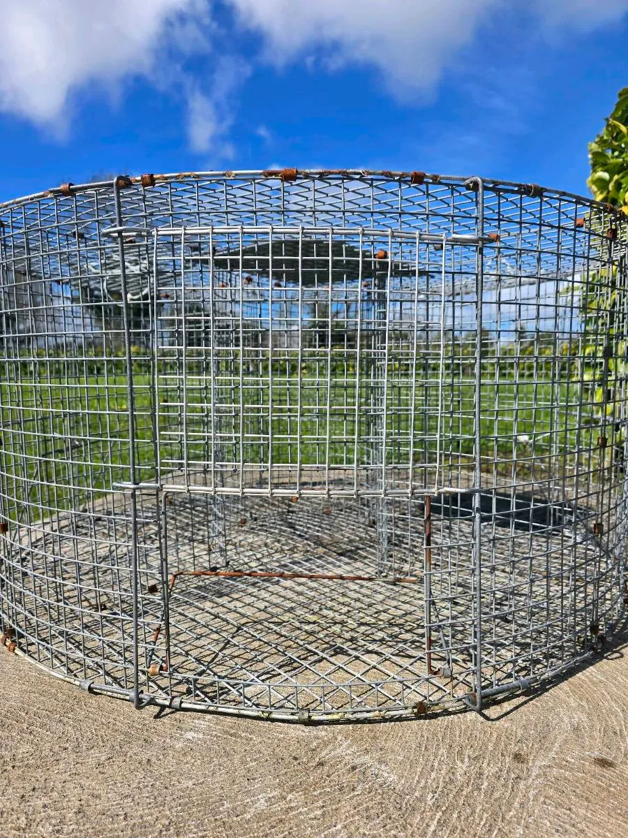 Larcen trap bird trap - Image 3