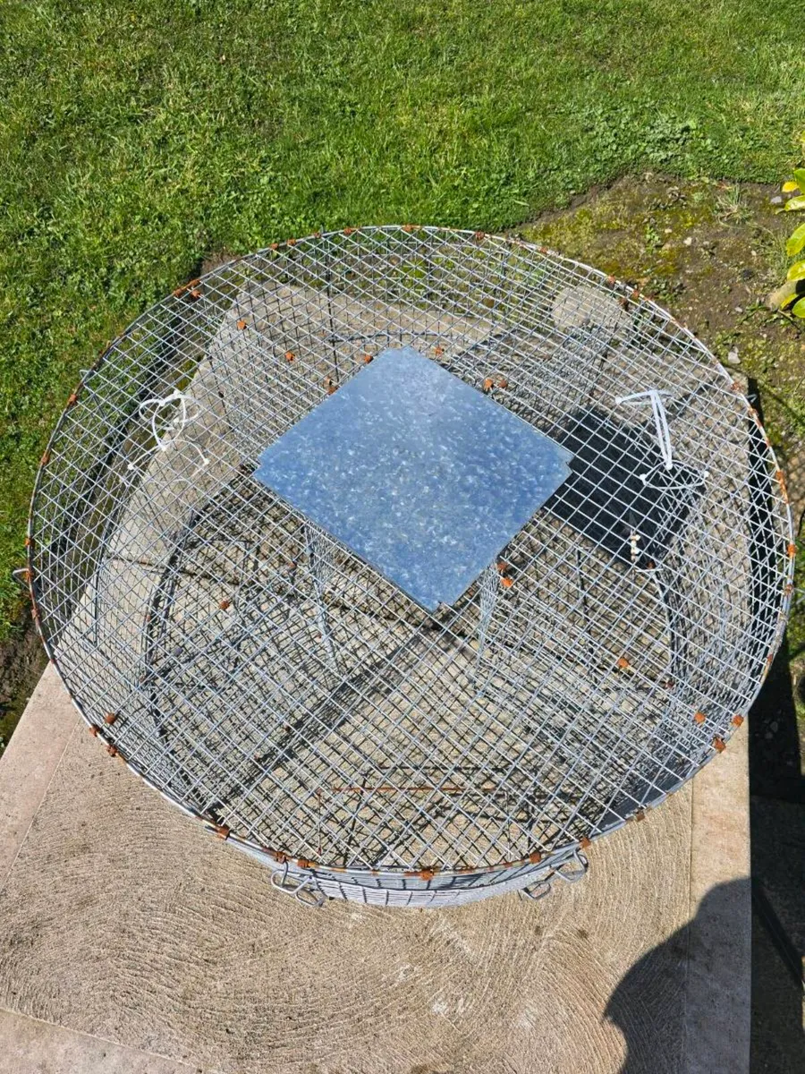 Larcen trap bird trap - Image 4