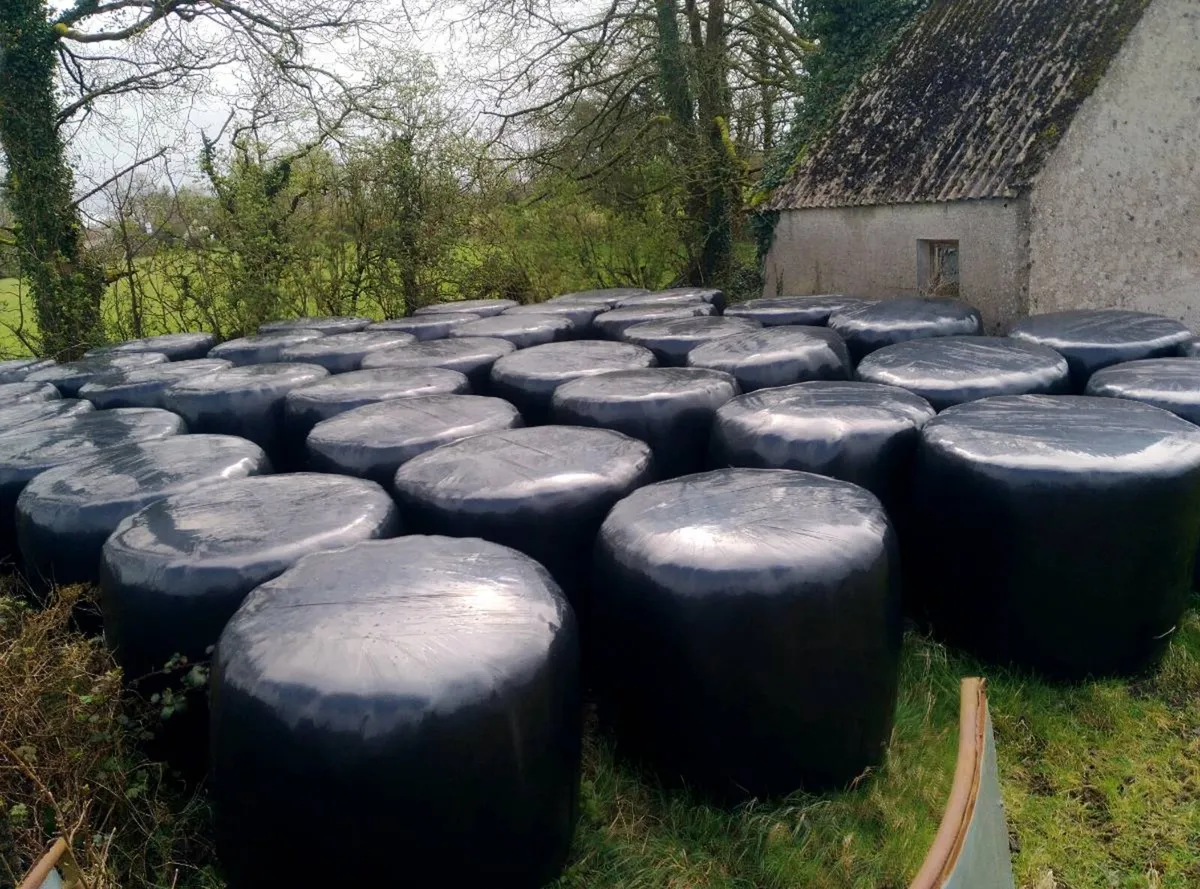 Silage Bales