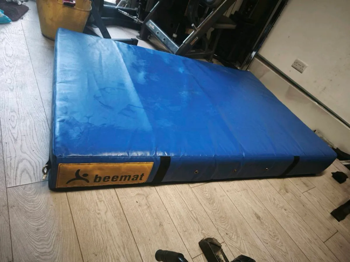 Gymnastics Beemat - Image 1