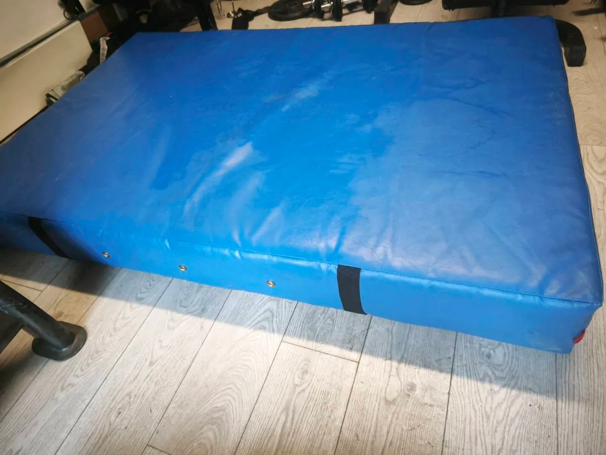 Gymnastics Beemat - Image 2