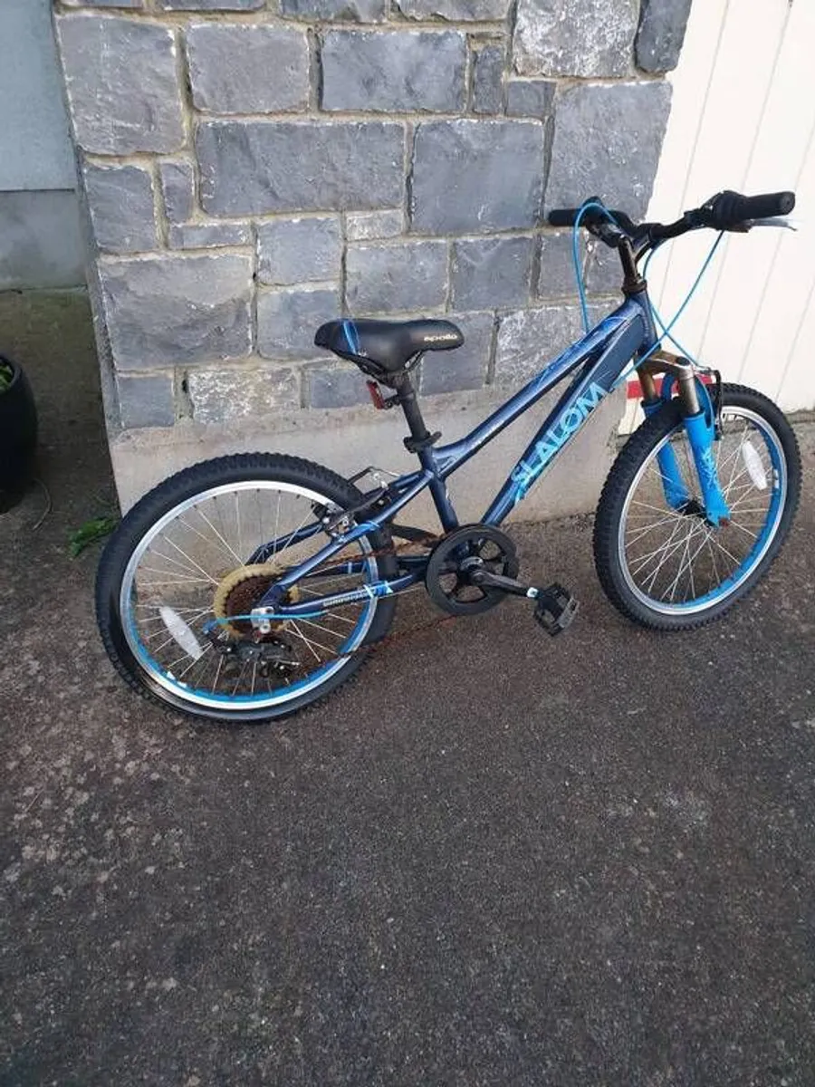 Boy's Bicycle - Image 3